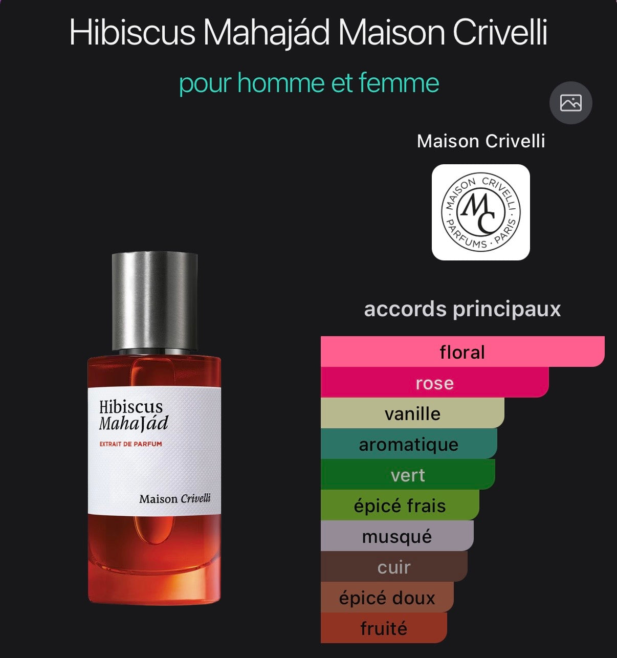 Hibiscus MAHAJAD