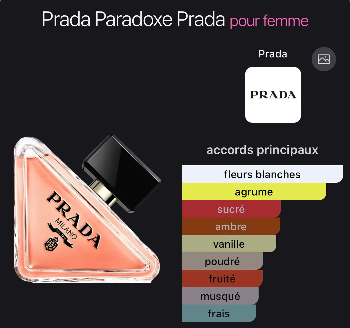 Paradoxe